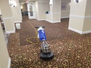 Before & After Commercial Carpet Cleaning in Springfield, PA (1)